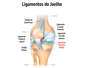 O que é Ligamento Colateral Medial do joelho LCM Dr Denys Aragão